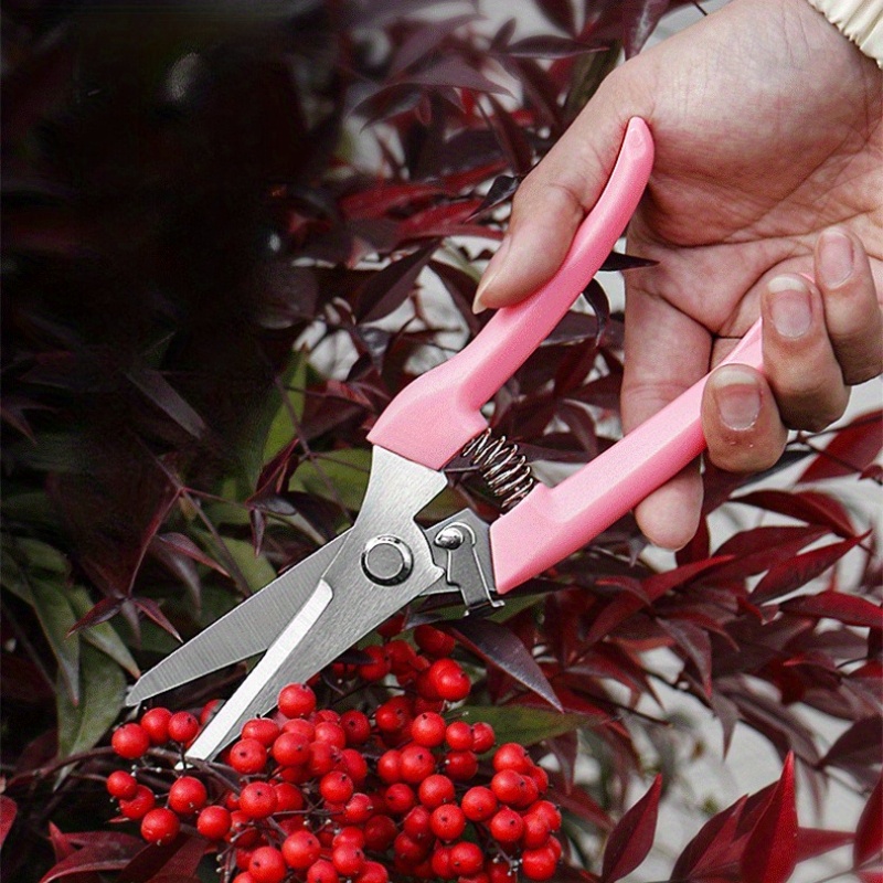 2-pack bloemenschaar (roze), s - Pinking Shear Blade recensie en prijs