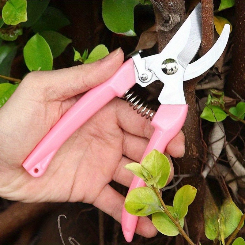 2-pack bloemenschaar (roze), s - Pinking Shear Blade recensie en prijs